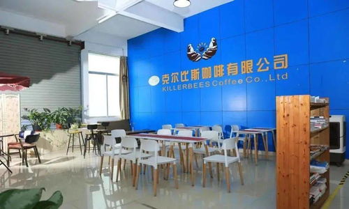 點(diǎn)贊！坦洲一企業(yè)入選廣東省工業(yè)旅游培育資源庫，文化藝術(shù)交流策劃點(diǎn)亮工業(yè)新風(fēng)景